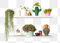 Png plant pots mockup on white shelf home decor