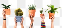 Png plant parent's hand mockup