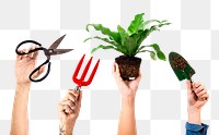 Png hand mockups DIY repotting houseplant gardening hobby