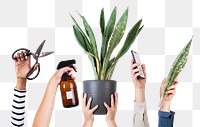 Png plant lover's hand mockup for online shop