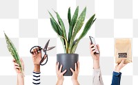 Png plant lover's hand mockup for online shop