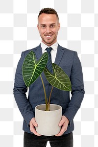 Png businessman mockup holding potted alocasia longiloba for green business