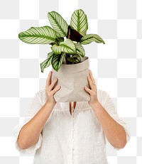 Png plant lover mockup holding potted calathea