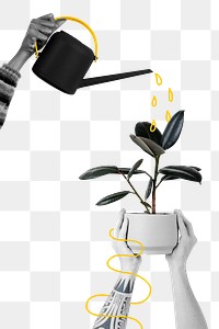 Watering a png plant with illustration remix