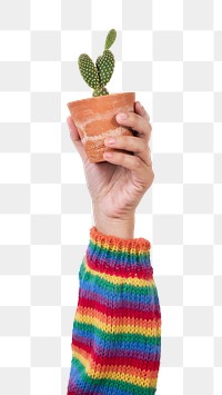 Png hand mockup holding potted bunny ears cactus
