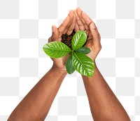 Png Hands cupping plant mockup  save the environment campaign