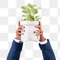 Png Hand holding plant mockup save the environment campaign