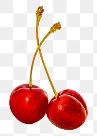 Red cherries png clipart, organic fruit on transparent background