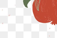 Tropical pomegranate fruit frame design element