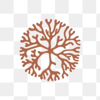 Sea coral png sticker illustration in brown