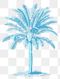 Palm tree png sticker classic illustration