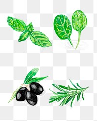 Hand drawn herb illustration png sticker botanical collection