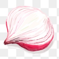 Food ingredient shallot png sticker watercolor