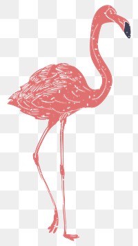 PNG flamingo printmaking transparent