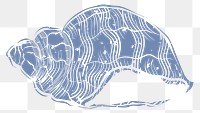 Png blue seashell printmaking transparent