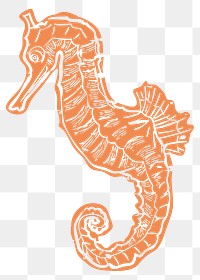 Png seahorse printmaking cute sticker
