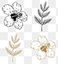 Black and gold hibiscus and leaf sticker with a white border design element set