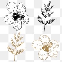 Black and gold hibiscus and leaf sticker design element set