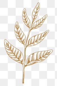 Gold and white leaf sticker design element