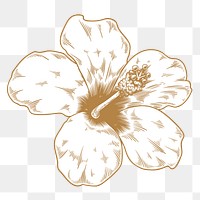 Gold and white  hibiscus flower sticker design element