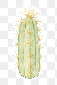 Pilosocereus alensis cactus sticker png