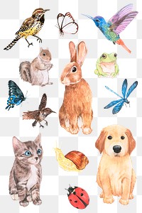 Animals element in watercolor png sticker collection