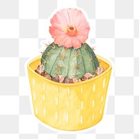 Chin cactus watercolor sticker png
