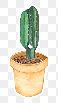 Cactus watercolor sticker png
