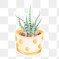 Zebra haworthia in a pot watercolor sticker png