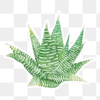 Fairy washboard succulent watercolor sticker png