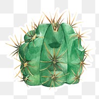 Gymnocalycium monvillei cactus sticker png