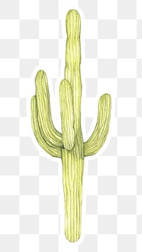 Saguaro cactus hand drawn sticker png