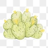 Dwarf perennial cactus watercolor sticker png