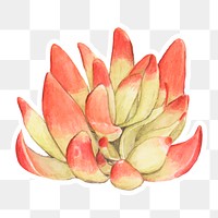 Red pagoda succulent sticker png
