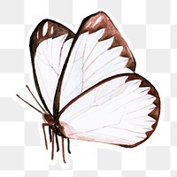 White and brown butterfly sticker png