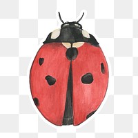 Hand drawn ladybug sticker png