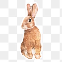 Hand drawn rabbit sticker png