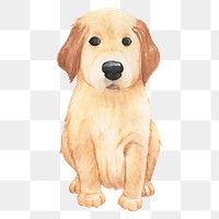 Golden retriever dog png