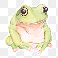 Green tree frog sticker png