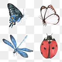 Watercolor butterfly and insects png sticker 