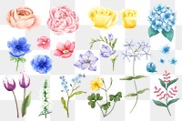 Blooming flowers png sticker floral set