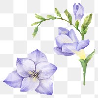 Blooming flower sticker png watercolor drawing