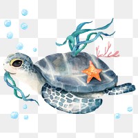 PNG baby sea turtle, watercolor animal sticker