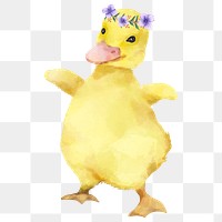 Cute duck png, watercolor animal sticker