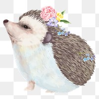 Cute hedgehog png, watercolor animal sticker