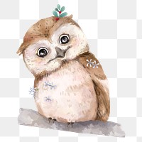 Baby owl png, watercolor animal sticker