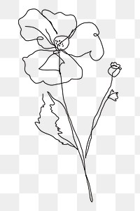 Png flower single line in hand drawn style