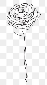 Png rose flower line drawing