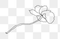 Png monoline flower on transparent background