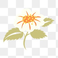 White flower sticker png, spring clipart illustration